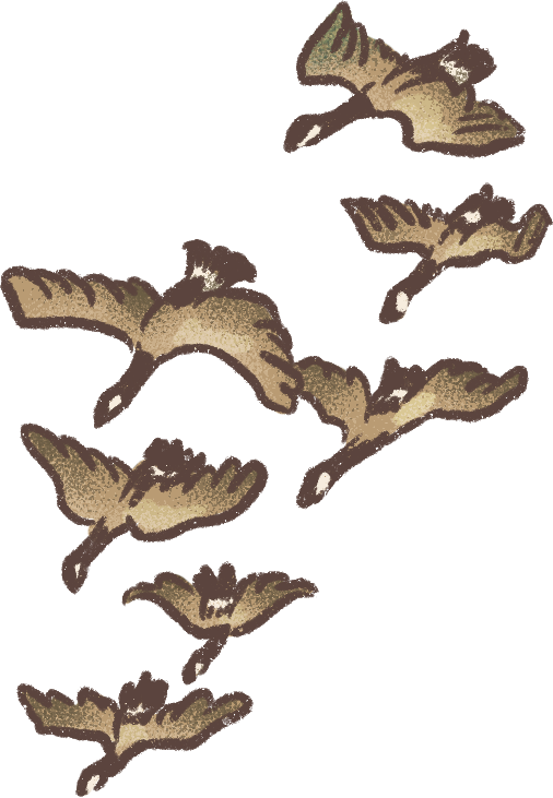 Icon-Geese.png