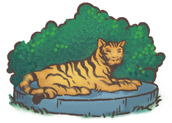 Icon-Tiger.png